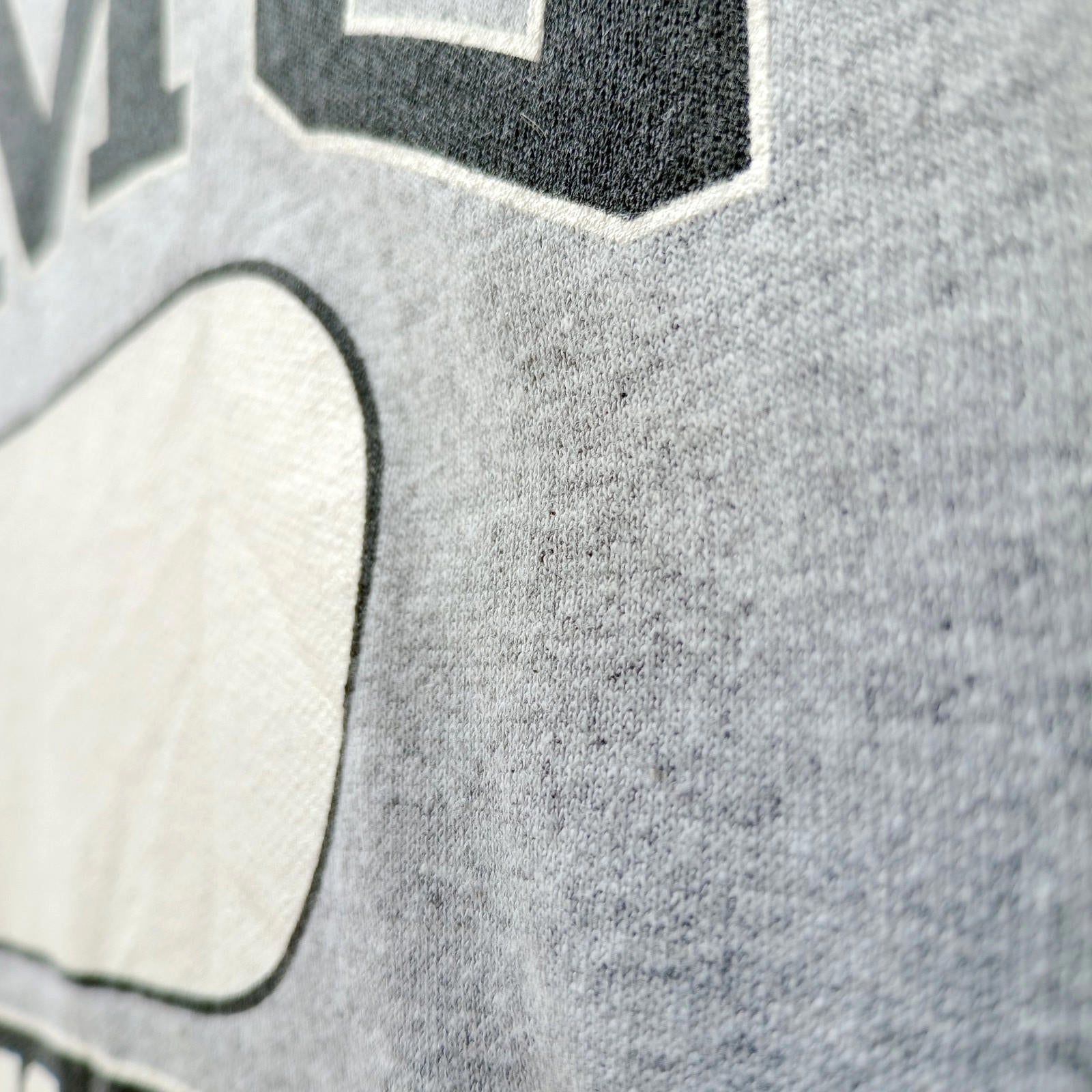 Grey Graphic Print Jersey Hoodie Men's UK Size S CMS PHYS. ED. Fleece Lined