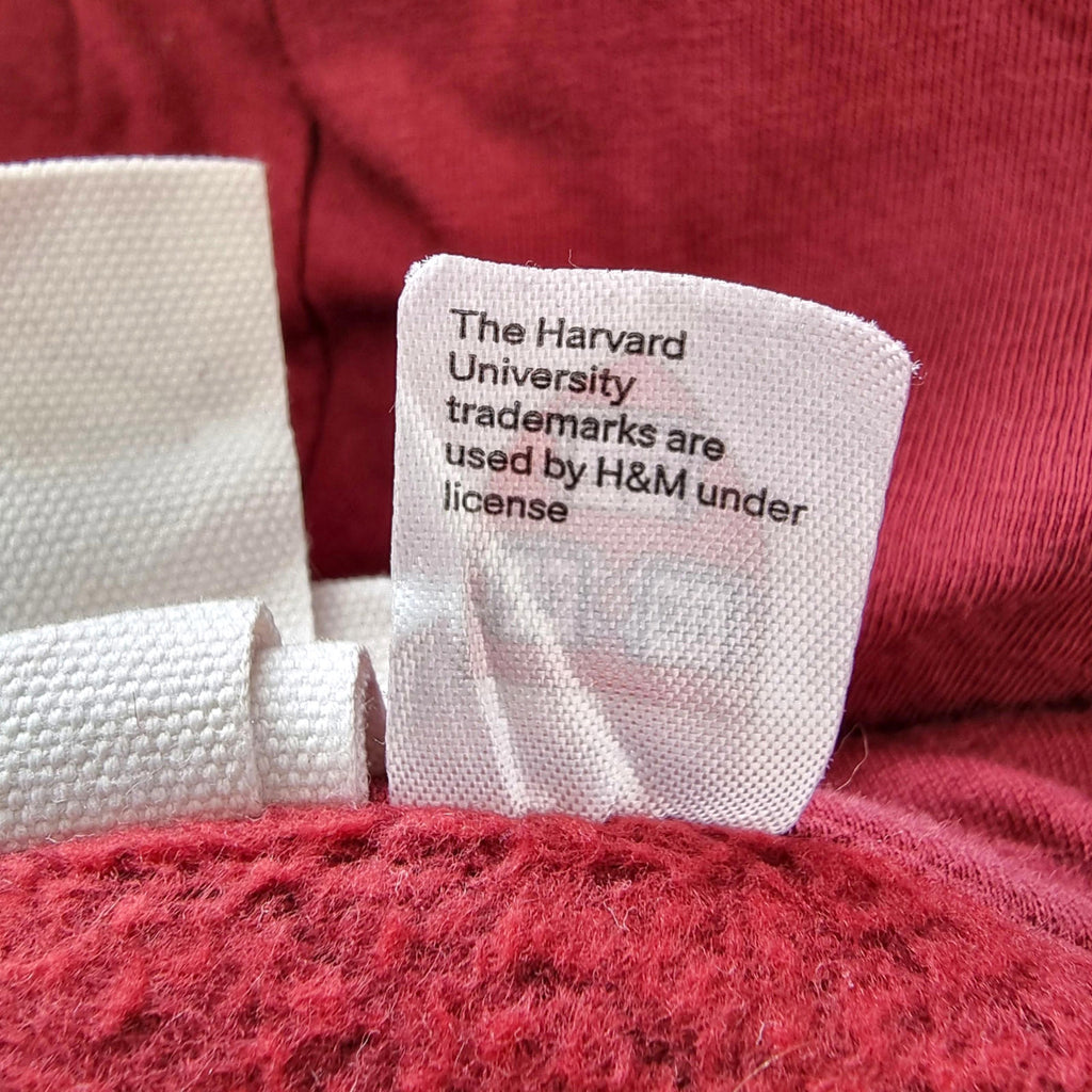 H&M Harvard Hoodie University Men's UK Size M Red Jersey Hooded Pockets Sports