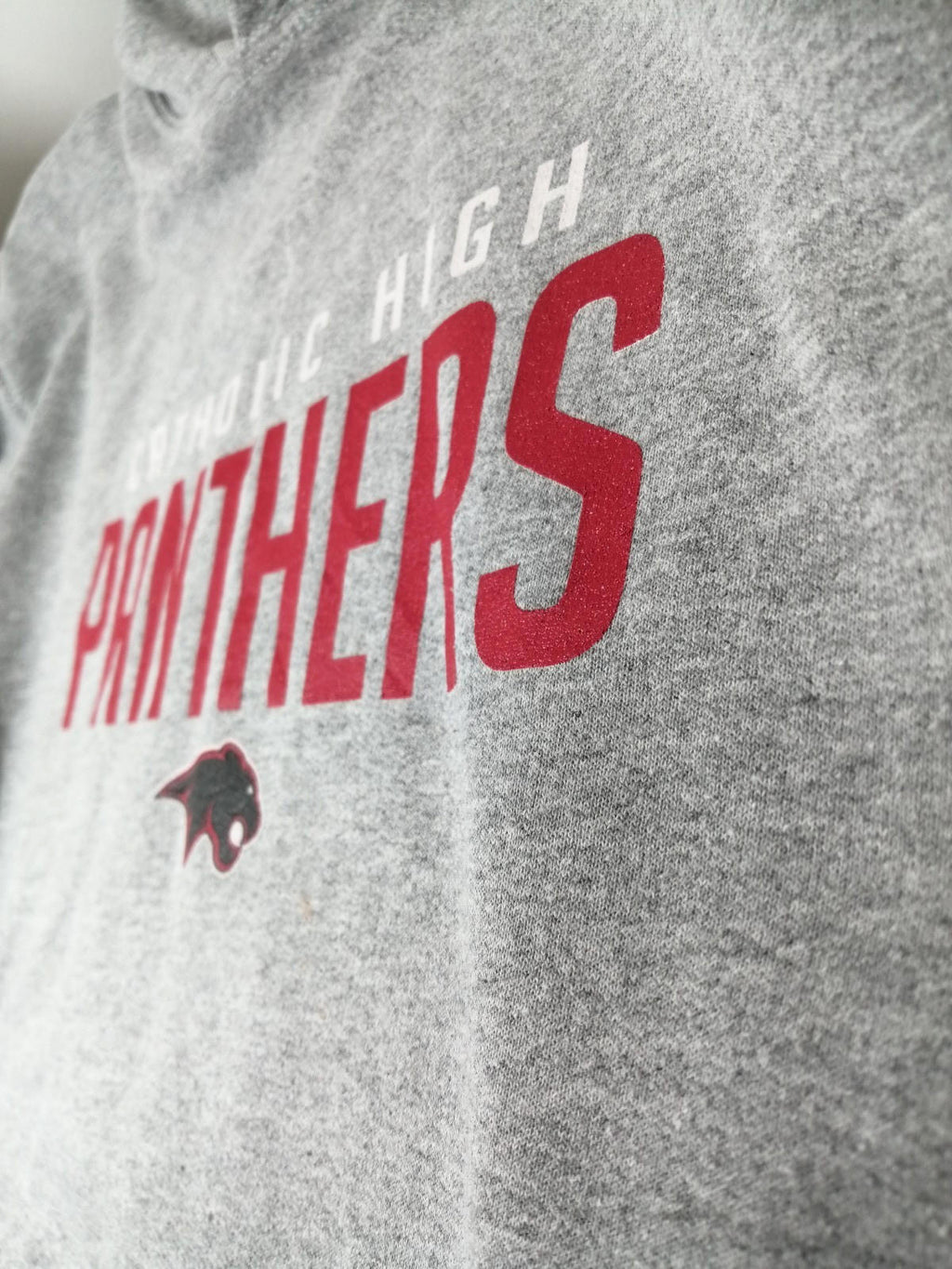 Catholic High Panthers Hoodie Youth Size Age 14- 15  Grey Jersey Hooded Pockets