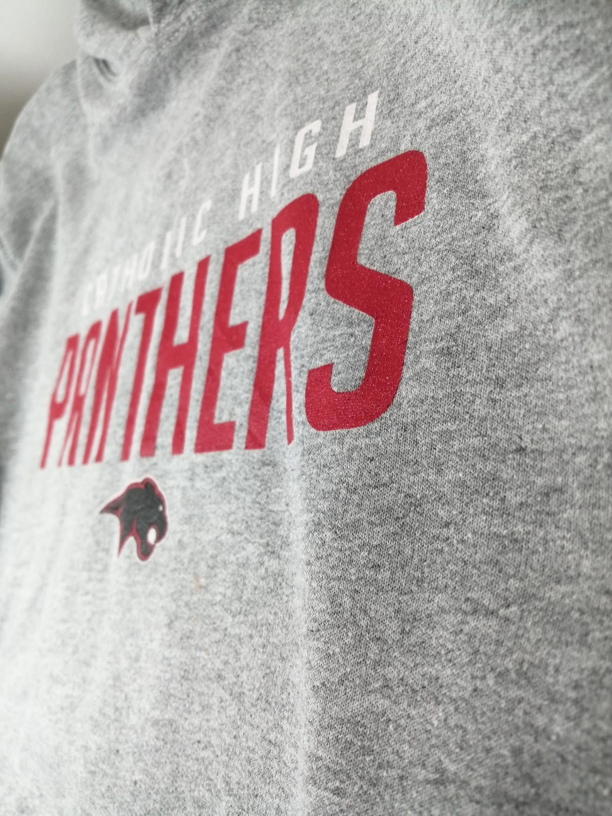 Catholic High Panthers Hoodie Youth Size Age 14- 15  Grey Jersey Hooded Pockets